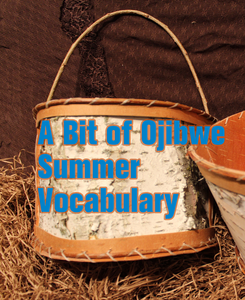 A Bit of Ojibwe Summer Vocabulary