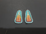 Beaded Earrings Land Back