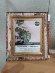 Birch Bark Frames